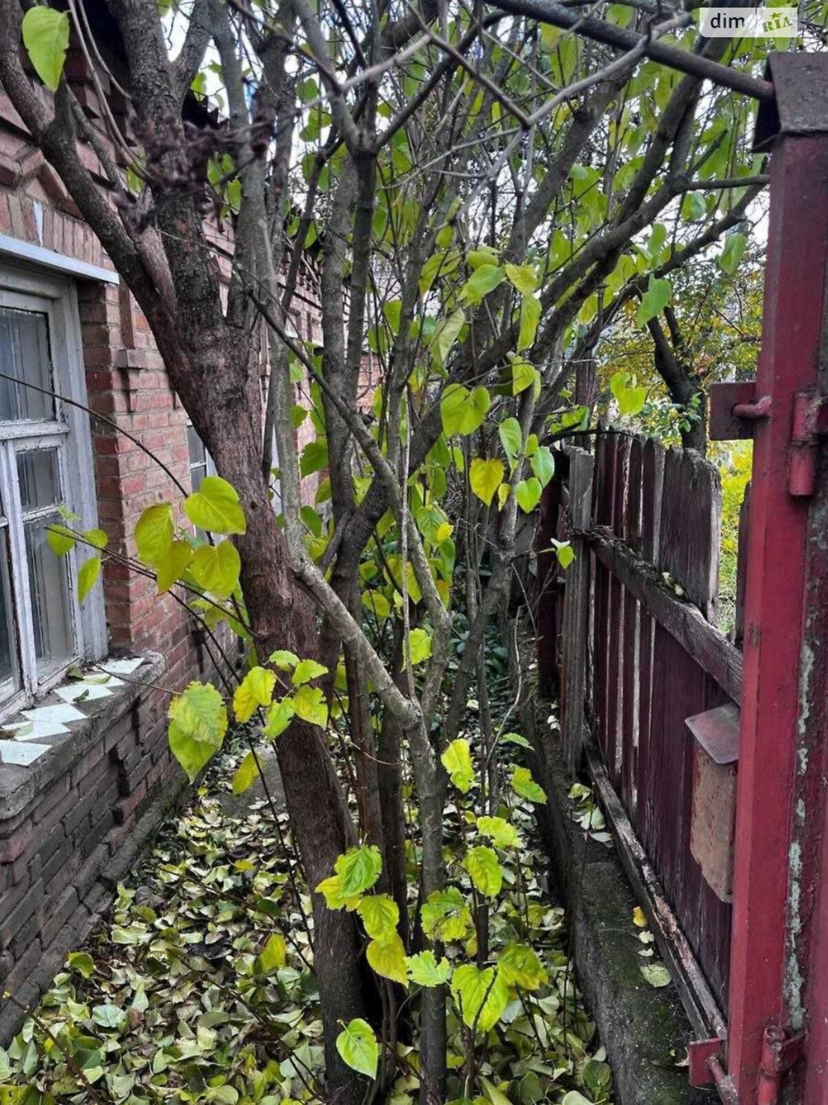 одноэтажный дом, 63 кв. м, кирпич. Продажа в Кропивницком район Новая Балашовка фото 1