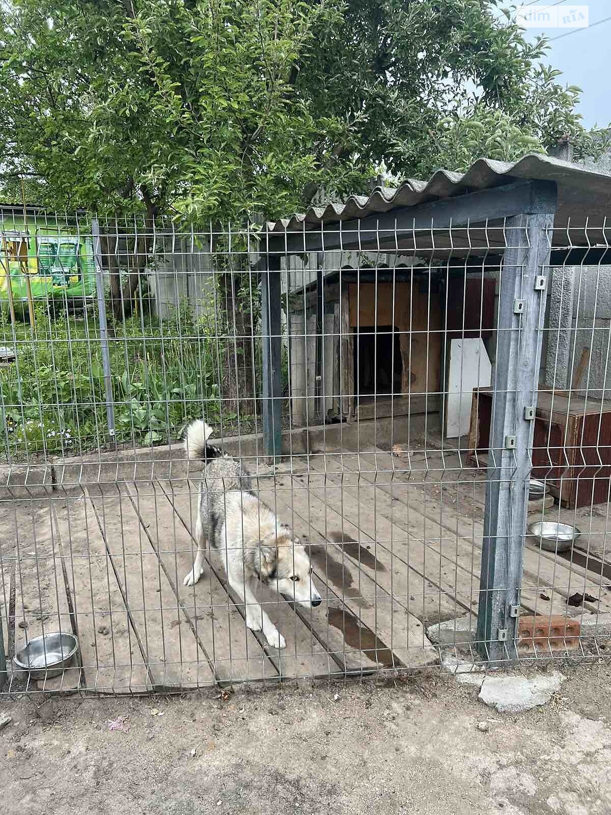 одноэтажный дом с гаражом, 73 кв. м, кирпич. Продажа в Кропивницком район Подольский фото 1 одноэтажный дом с гаражом, 73 кв. м, кирпич. Продажа в Кропивницком район Подольский фото 1
