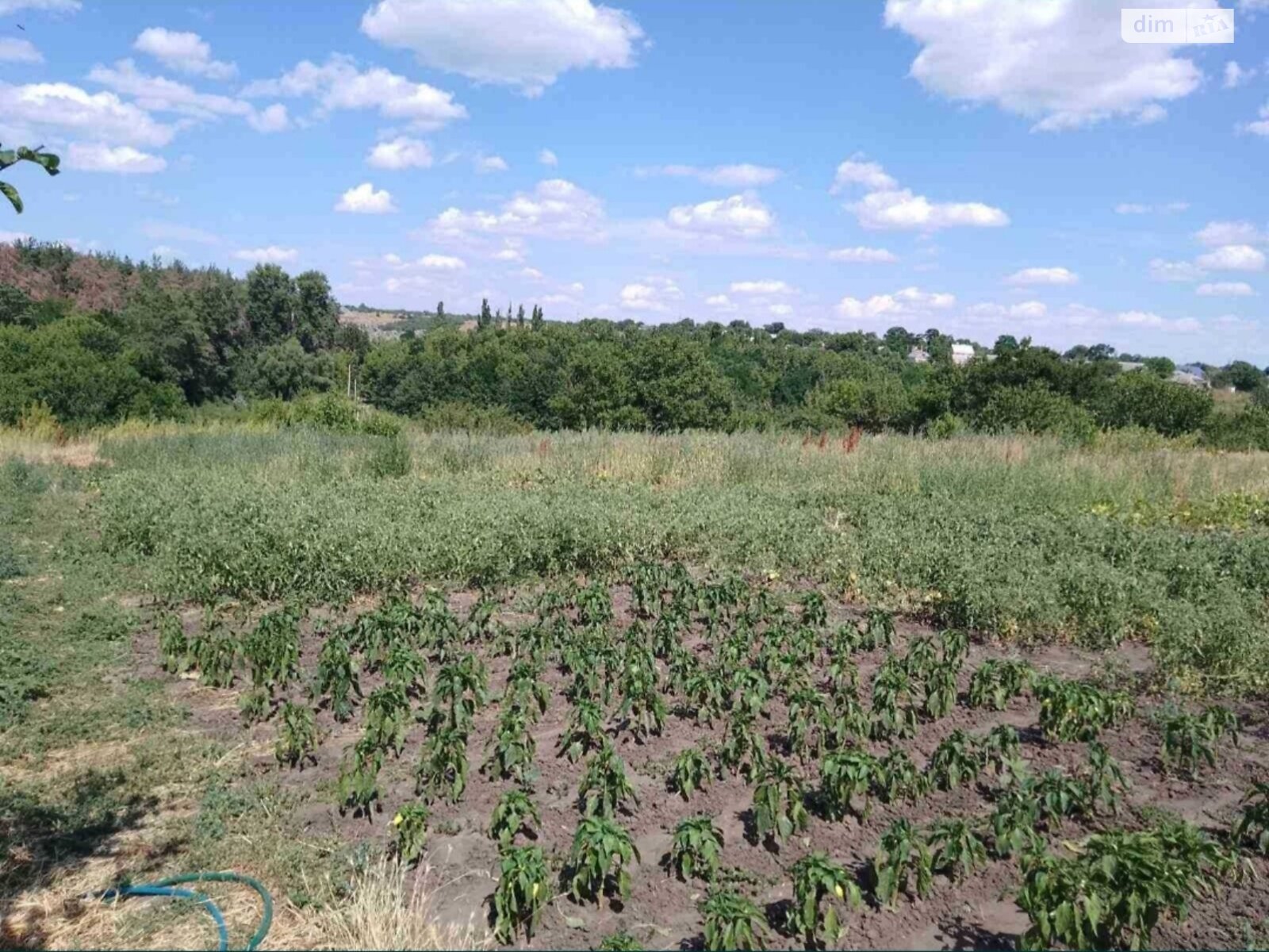 двоповерховий будинок, 105 кв. м, кирпич. Продаж в Кропивницькому, район Селище Гірниче фото 1 двоповерховий будинок, 105 кв. м, кирпич. Продаж в Кропивницькому, район Селище Гірниче фото 1