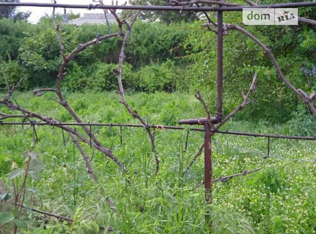 одноэтажный дом с садом, 110 кв. м, кирпич. Продажа в Кропивницком район Центр фото 1 одноэтажный дом с садом, 110 кв. м, кирпич. Продажа в Кропивницком район Центр фото 1