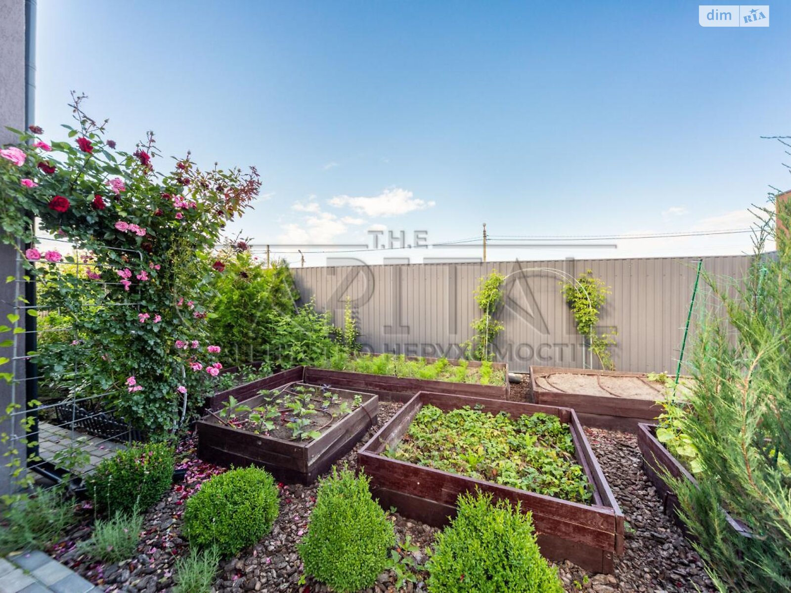 одноэтажный дом, 105 кв. м, кирпич. Продажа в Зеленом Боре фото 1 одноэтажный дом, 105 кв. м, кирпич. Продажа в Зеленом Боре фото 1