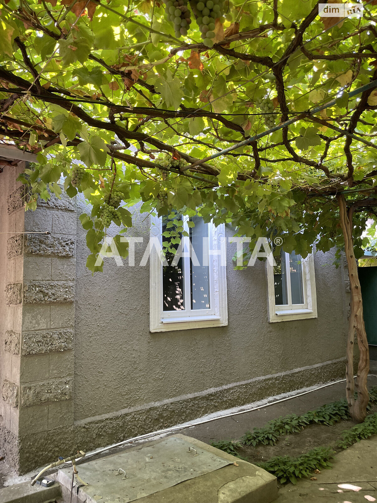 одноэтажный дом беседка, 57.7 кв. м, ракушечник (ракушняк). Продажа в Крыжановке фото 1 одноэтажный дом беседка, 57.7 кв. м, ракушечник (ракушняк). Продажа в Крыжановке фото 1