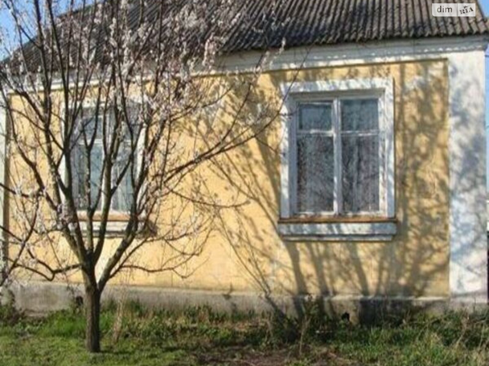 одноповерховий будинок з верандою, 65 кв. м, цегла. Продаж у Крижівці фото 1 одноповерховий будинок з верандою, 65 кв. м, цегла. Продаж у Крижівці фото 1