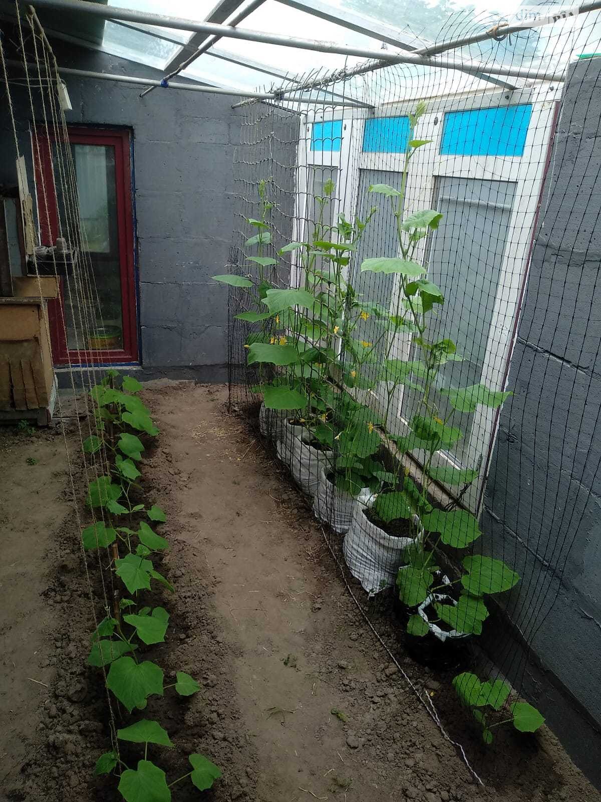 двоповерховий будинок з верандою, 221.6 кв. м, цегла. Продаж у Кучакові фото 1