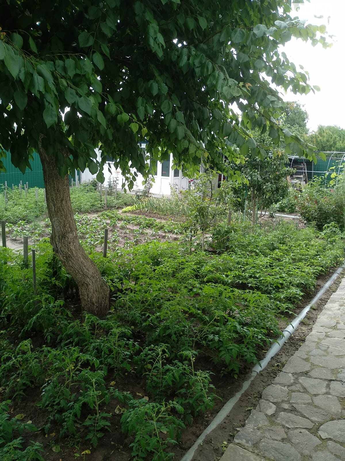 двоповерховий будинок з верандою, 221.6 кв. м, цегла. Продаж у Кучакові фото 1