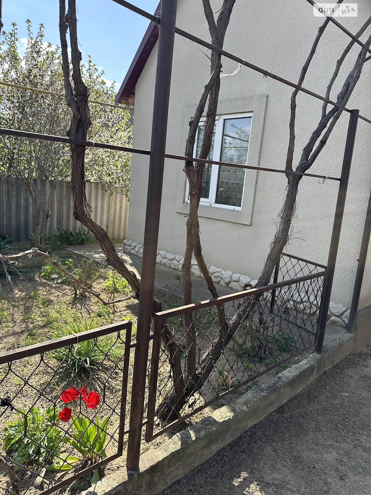 одноэтажный дом с верандой, 105 кв. м, ракушечник (ракушняк). Продажа в Кучургане фото 1 одноэтажный дом с верандой, 105 кв. м, ракушечник (ракушняк). Продажа в Кучургане фото 1