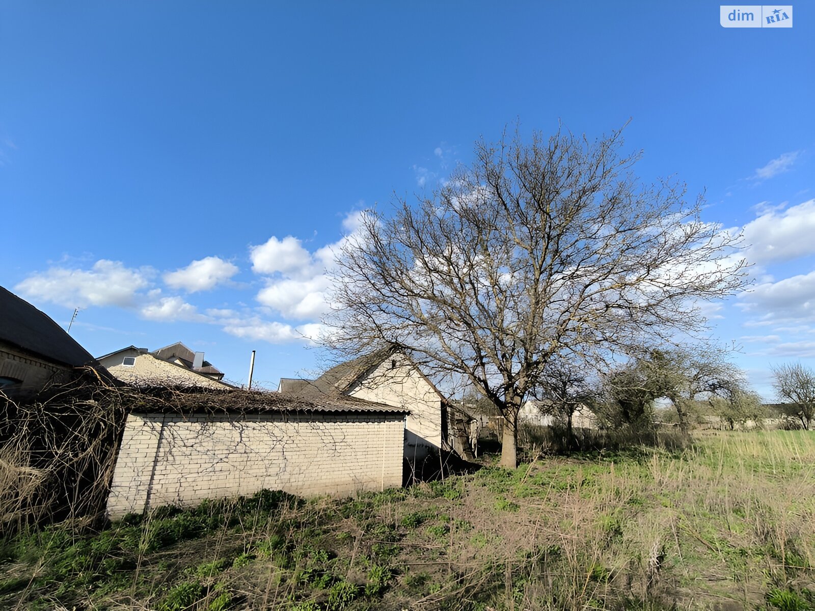 одноповерховий будинок з гаражем, 60 кв. м, кирпич. Продаж у Кульчині фото 1 одноповерховий будинок з гаражем, 60 кв. м, кирпич. Продаж у Кульчині фото 1