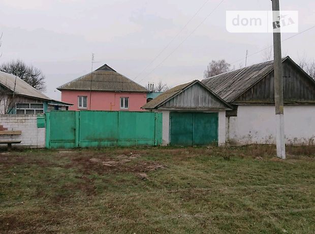 одноповерховий будинок з садом, 100 кв. м, цегла. Продаж в Жуковці (Чернігівська обл.) фото 1 одноповерховий будинок з садом, 100 кв. м, цегла. Продаж в Жуковці (Чернігівська обл.) фото 1