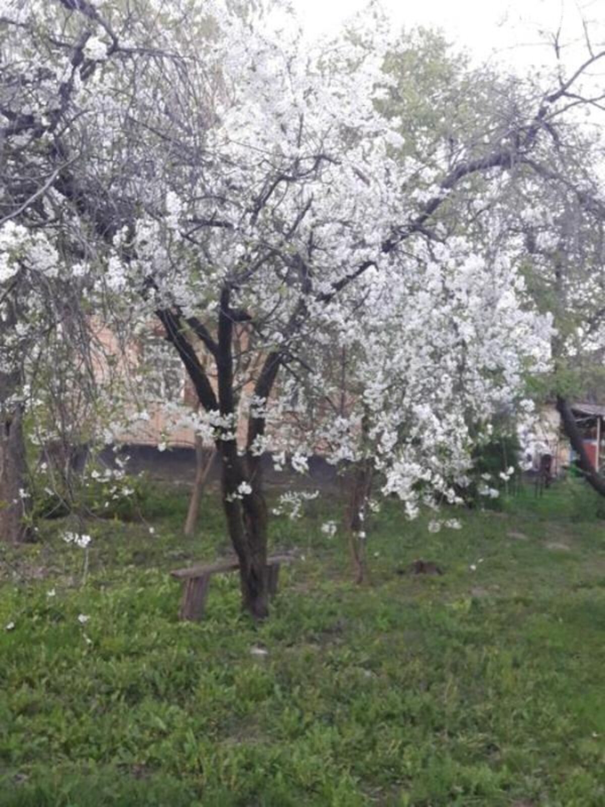 одноповерховий будинок з верандою, 80 кв. м, зруб. Продаж у Курганське фото 1 одноповерховий будинок з верандою, 80 кв. м, зруб. Продаж у Курганське фото 1