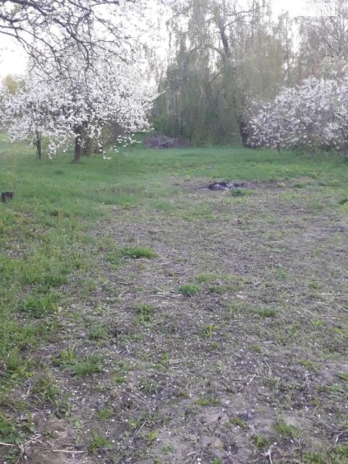 одноповерховий будинок з верандою, 80 кв. м, зруб. Продаж у Курганське фото 1 одноповерховий будинок з верандою, 80 кв. м, зруб. Продаж у Курганське фото 1