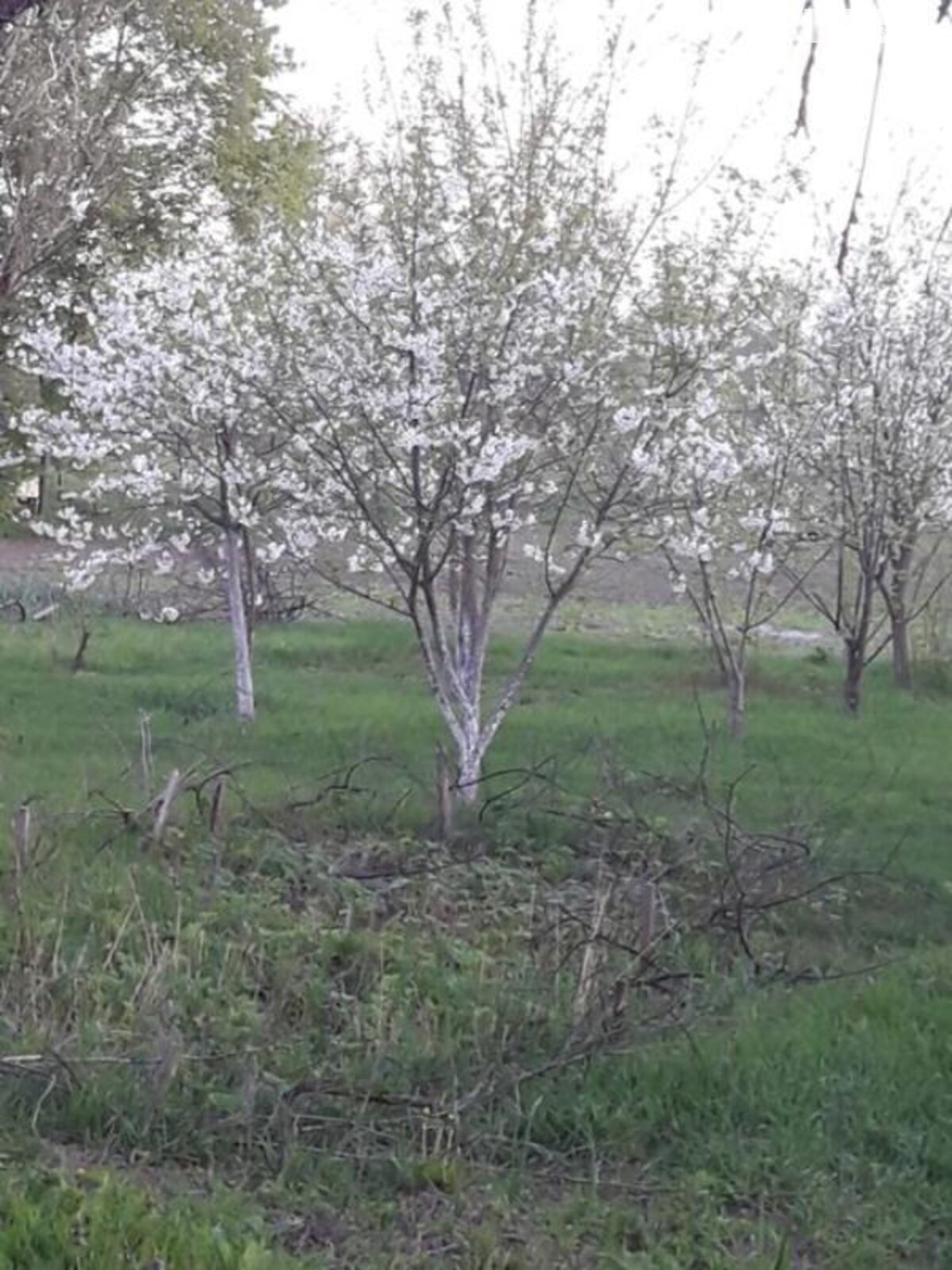 одноповерховий будинок з верандою, 80 кв. м, зруб. Продаж у Курганське фото 1 одноповерховий будинок з верандою, 80 кв. м, зруб. Продаж у Курганське фото 1