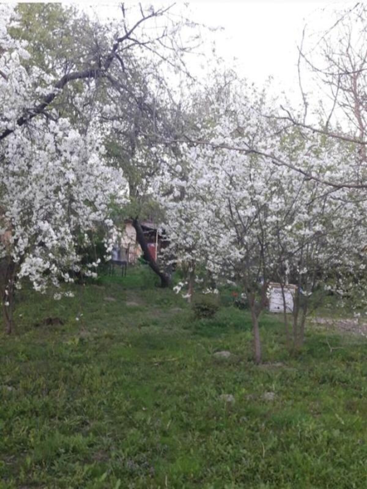 одноповерховий будинок з верандою, 80 кв. м, зруб. Продаж у Курганське фото 1 одноповерховий будинок з верандою, 80 кв. м, зруб. Продаж у Курганське фото 1