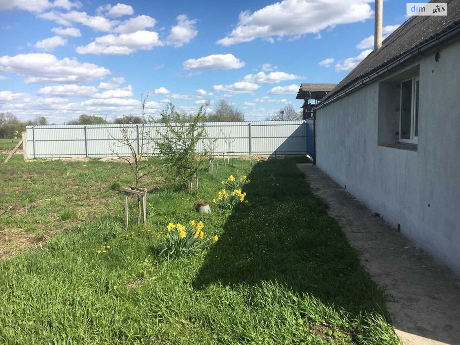 одноповерховий будинок з верандою, 110 кв. м, цегла. Продаж у Курному фото 1 одноповерховий будинок з верандою, 110 кв. м, цегла. Продаж у Курному фото 1