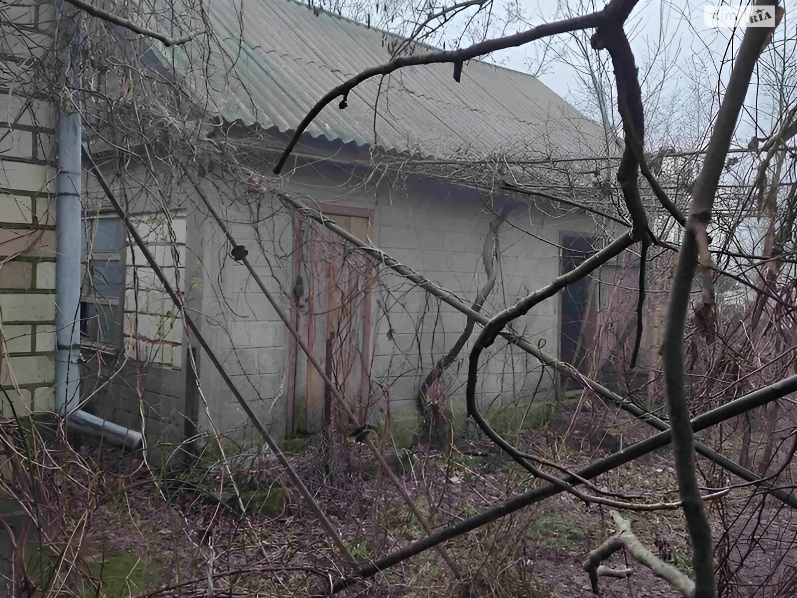 одноэтажный дом, 200 кв. м, кирпич. Продажа в Курячьих Лозах фото 1 одноэтажный дом, 200 кв. м, кирпич. Продажа в Курячьих Лозах фото 1