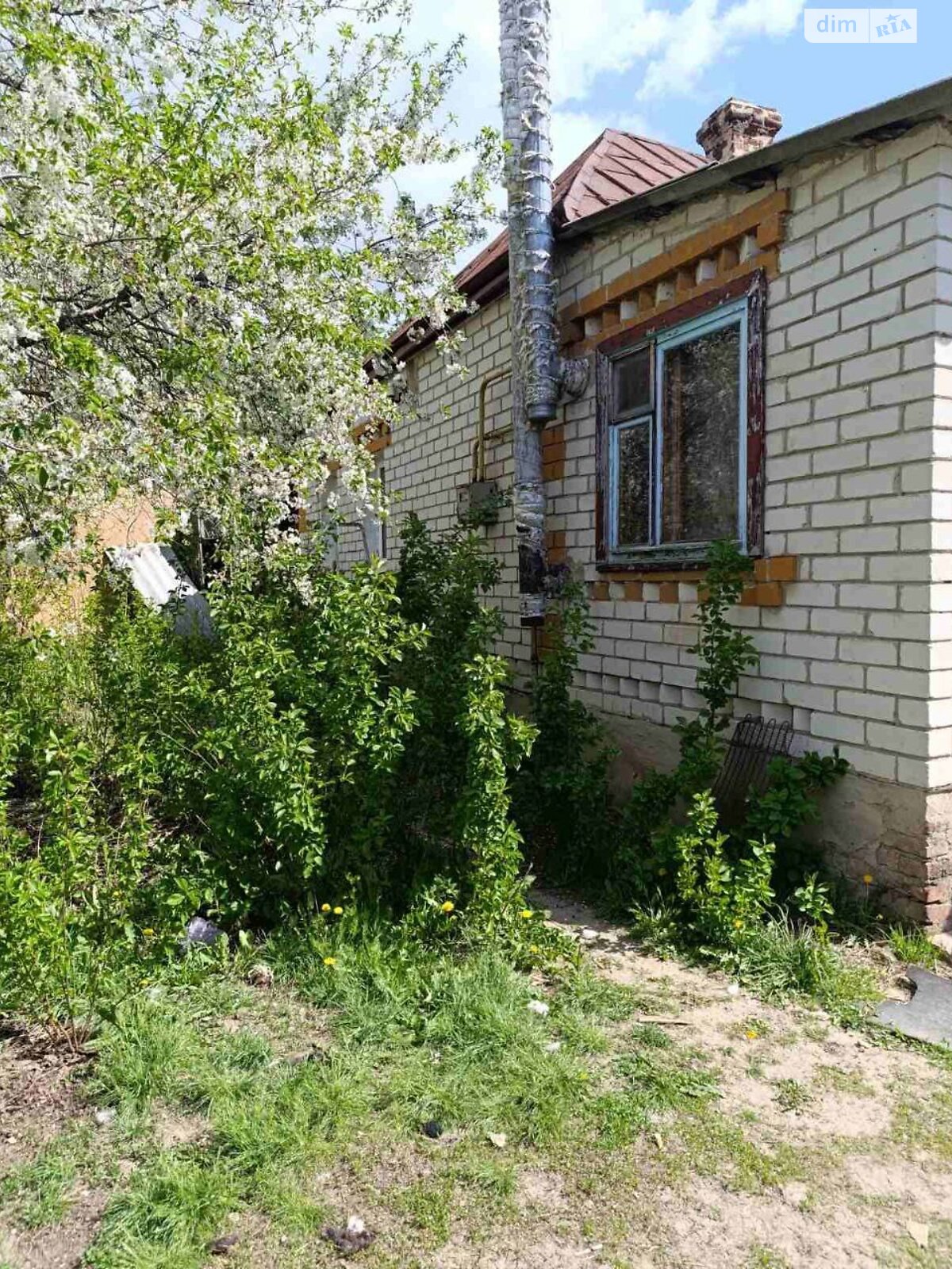 одноповерховий будинок з опаленням, 55.4 кв. м, цегла. Продаж у Куряжанці фото 1 одноповерховий будинок з опаленням, 55.4 кв. м, цегла. Продаж у Куряжанці фото 1