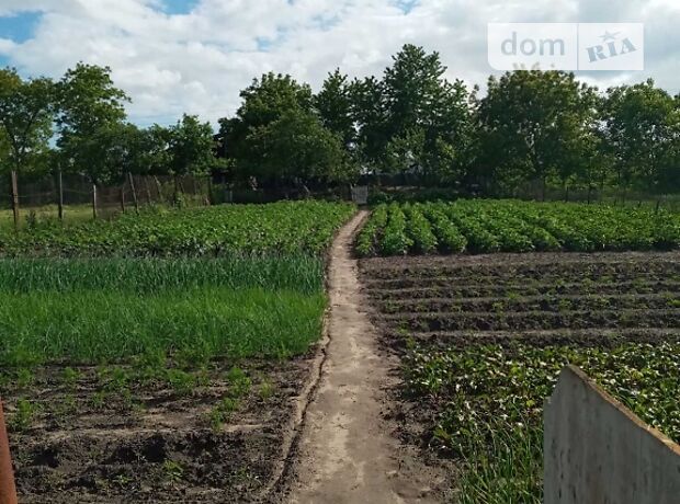 одноэтажный дом с садом, 61 кв. м, кирпич. Продажа в Ладыжине район Ладыжин фото 1 одноэтажный дом с садом, 61 кв. м, кирпич. Продажа в Ладыжине район Ладыжин фото 1