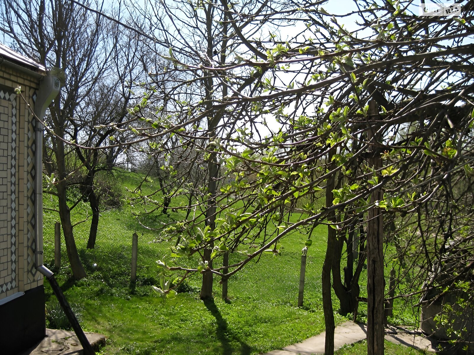одноповерховий будинок з верандою, 103.2 кв. м, цегла. Продаж у Лагодинцях фото 1 одноповерховий будинок з верандою, 103.2 кв. м, цегла. Продаж у Лагодинцях фото 1