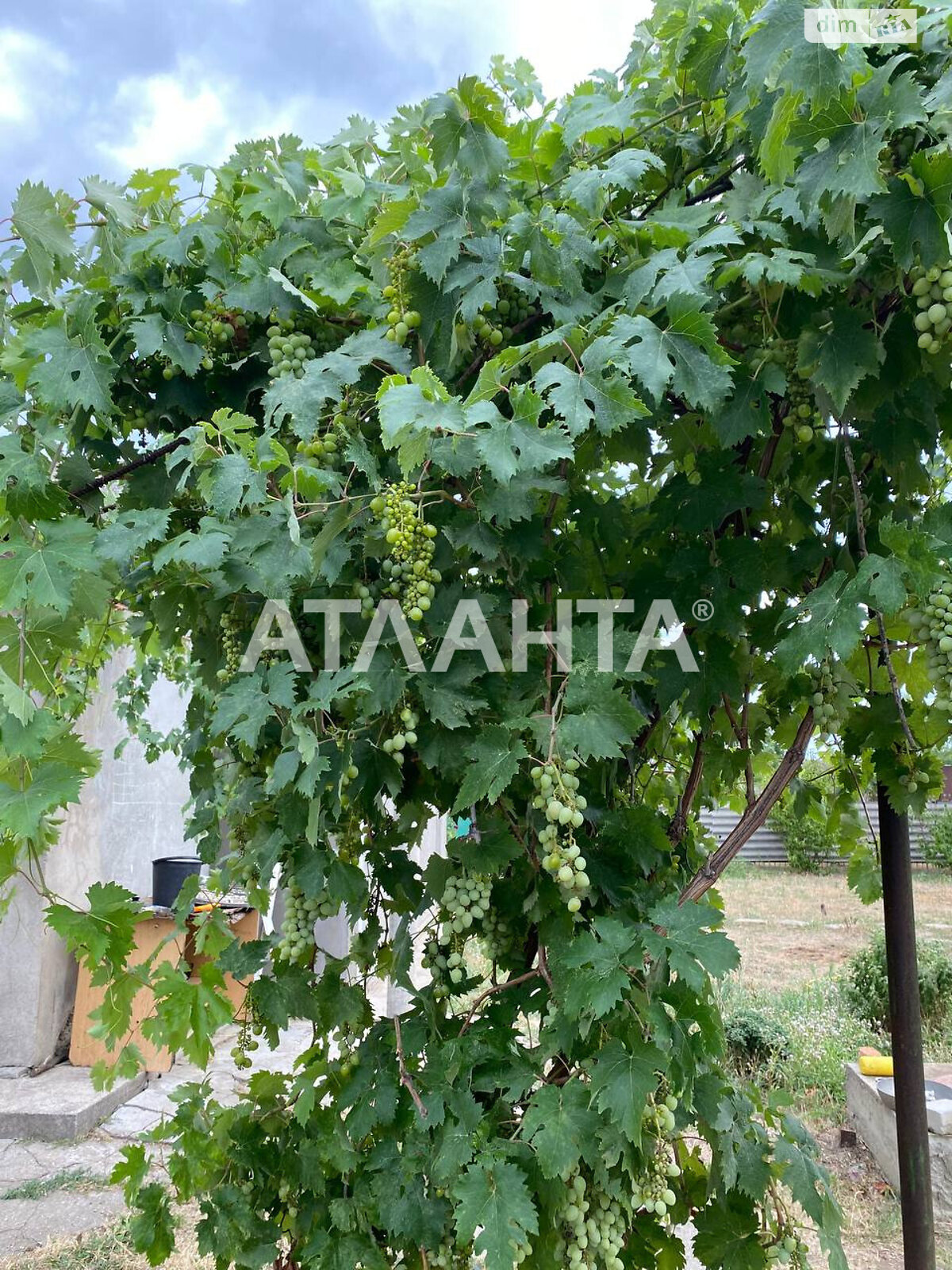 одноэтажный дом, 112.9 кв. м, ракушечник (ракушняк). Продажа в Латовке фото 1 одноэтажный дом, 112.9 кв. м, ракушечник (ракушняк). Продажа в Латовке фото 1