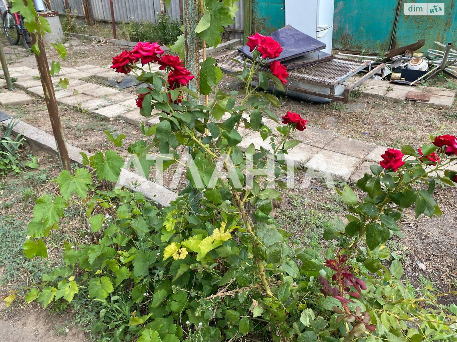 одноэтажный дом, 112.9 кв. м, ракушечник (ракушняк). Продажа в Латовке фото 1 одноэтажный дом, 112.9 кв. м, ракушечник (ракушняк). Продажа в Латовке фото 1
