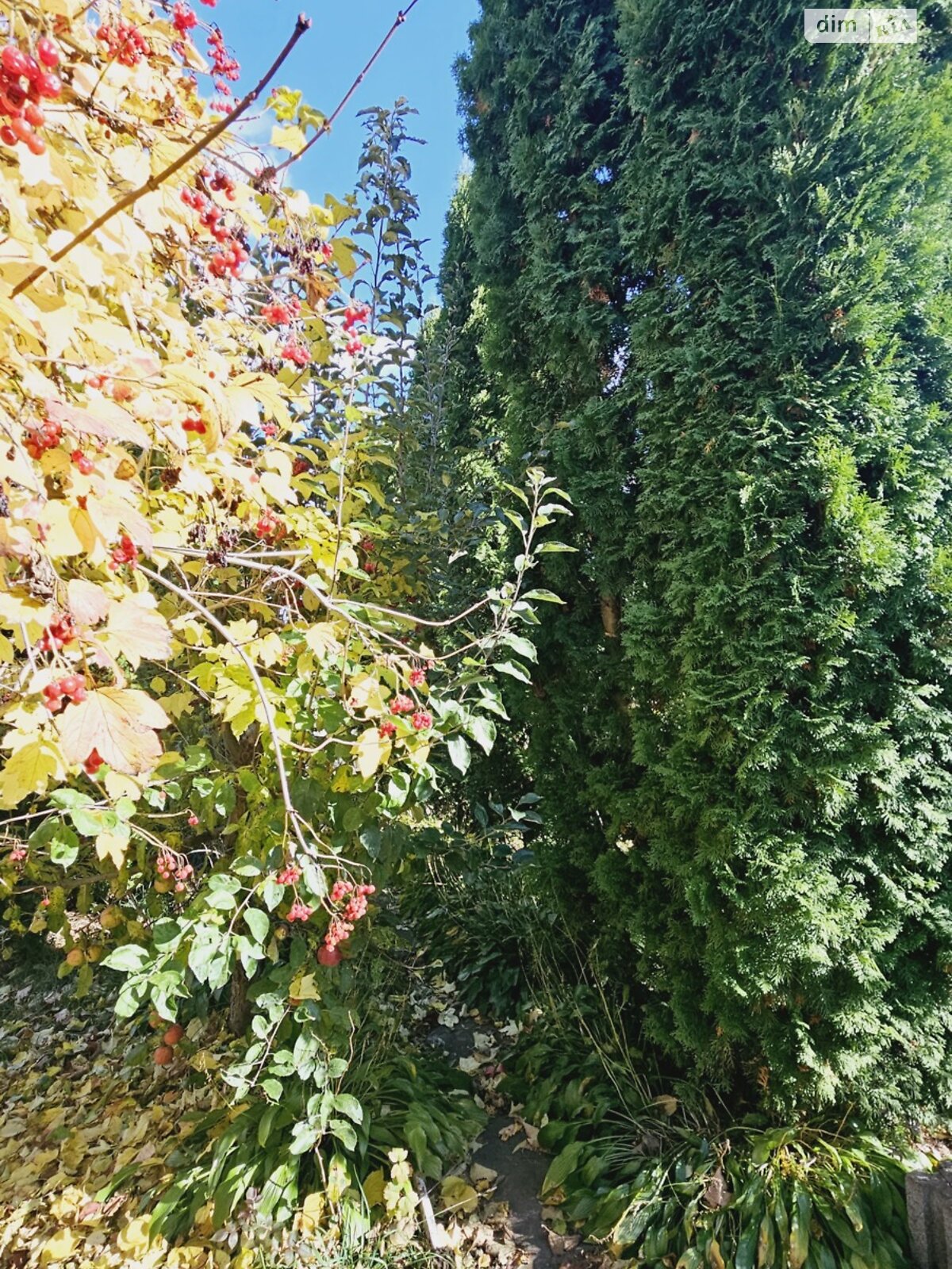 одноэтажный дом с верандой, 46 кв. м, кирпич. Продажа в Лавровке фото 1