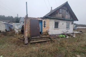 одноповерховий будинок з верандою, 90 кв. м, цегла. Продаж у Лебедівці фото 2
