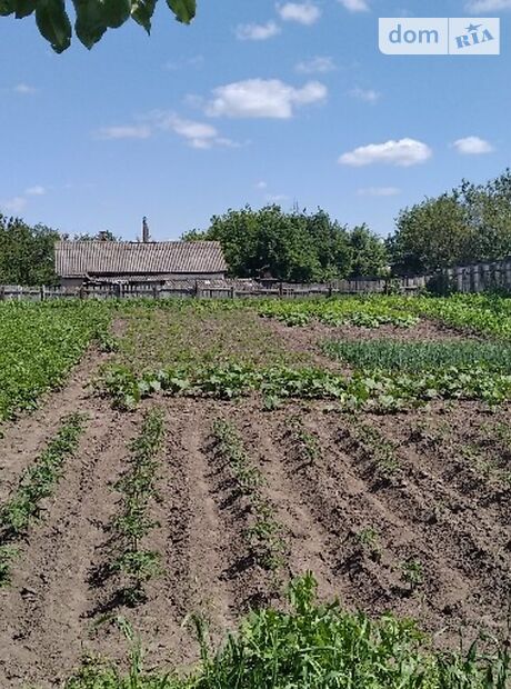 одноэтажный дом с садом, 83.7 кв. м, дерево и кирпич. Продажа в Лебедине район Лебедин фото 1 одноэтажный дом с садом, 83.7 кв. м, дерево и кирпич. Продажа в Лебедине район Лебедин фото 1