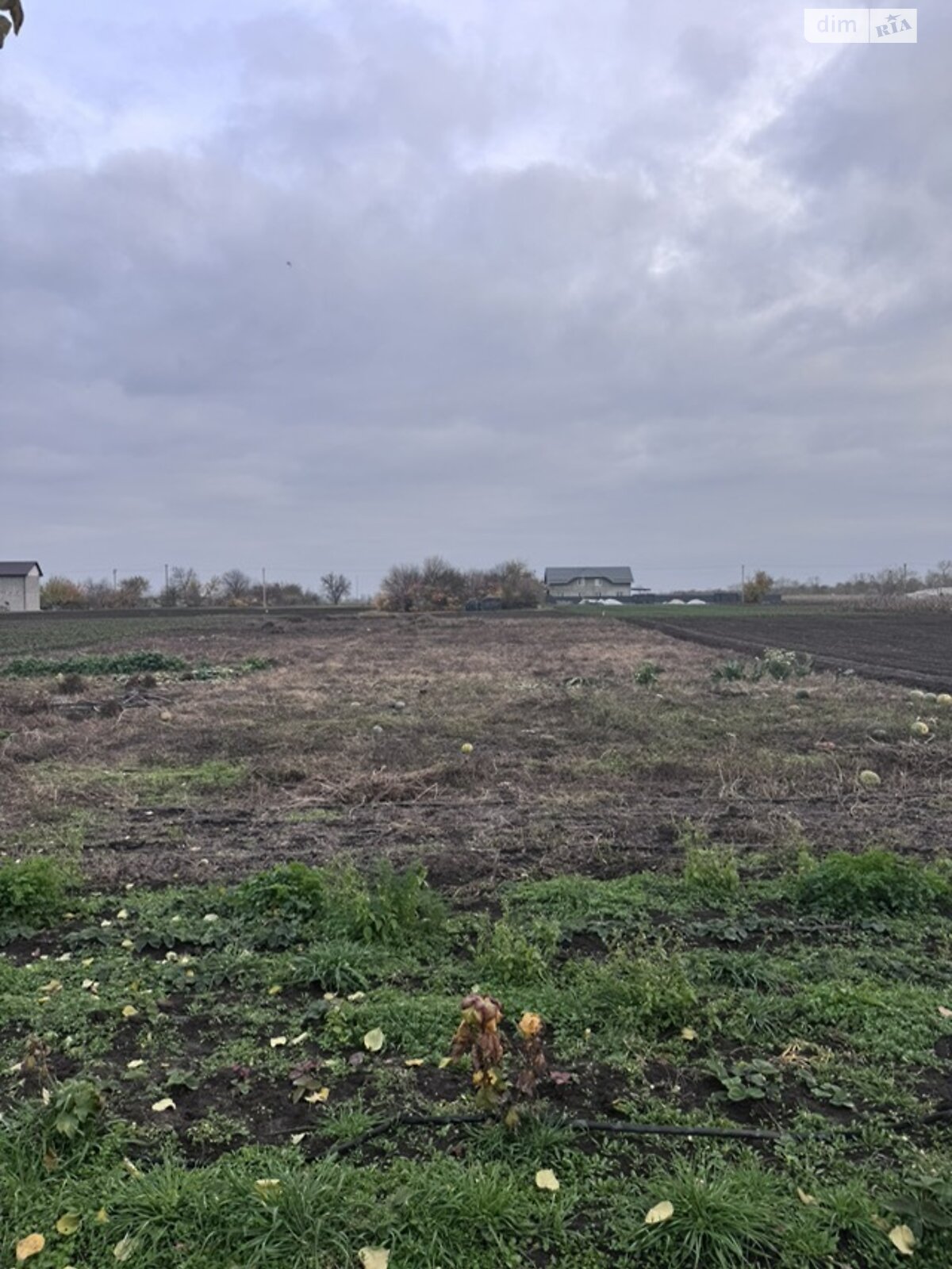 одноповерховий будинок з верандою, 110.2 кв. м, цегла. Продаж у Леськах фото 1 одноповерховий будинок з верандою, 110.2 кв. м, цегла. Продаж у Леськах фото 1