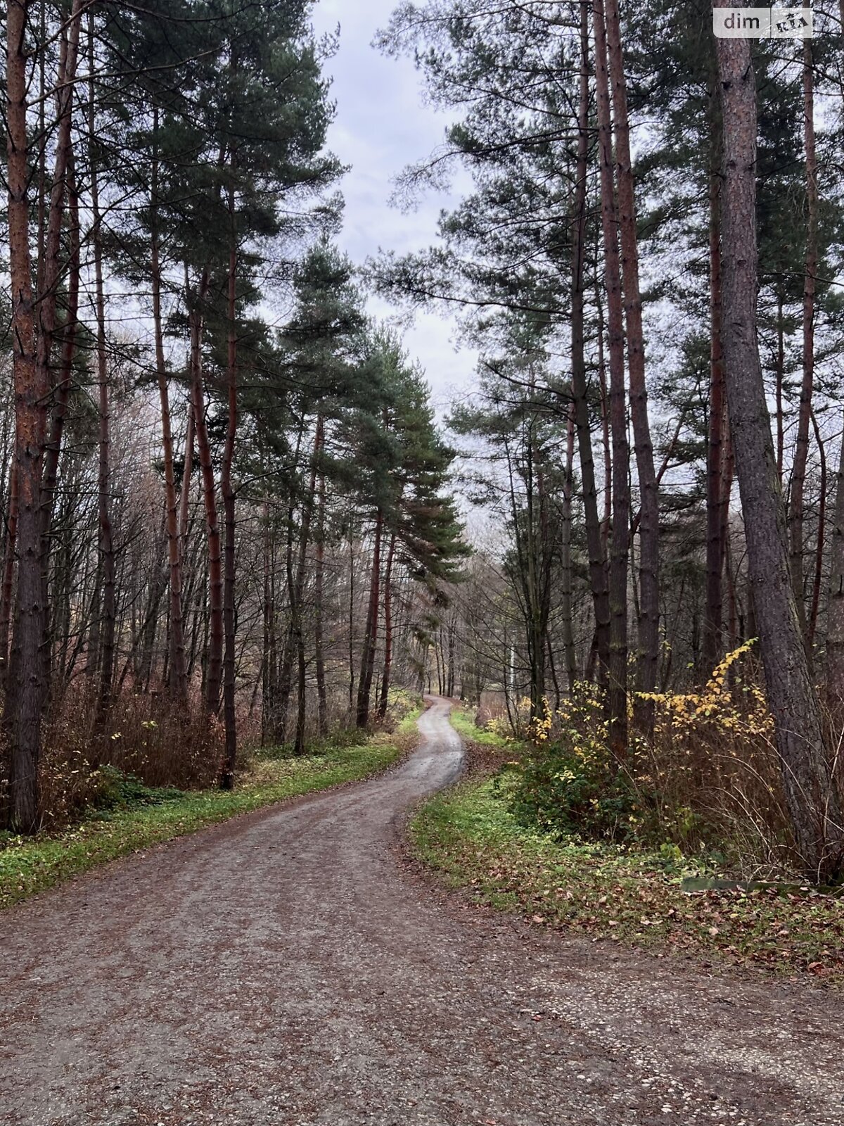 двоповерховий будинок з гаражем, 291.7 кв. м, цегла. Продаж у Лісниках фото 1 двоповерховий будинок з гаражем, 291.7 кв. м, цегла. Продаж у Лісниках фото 1