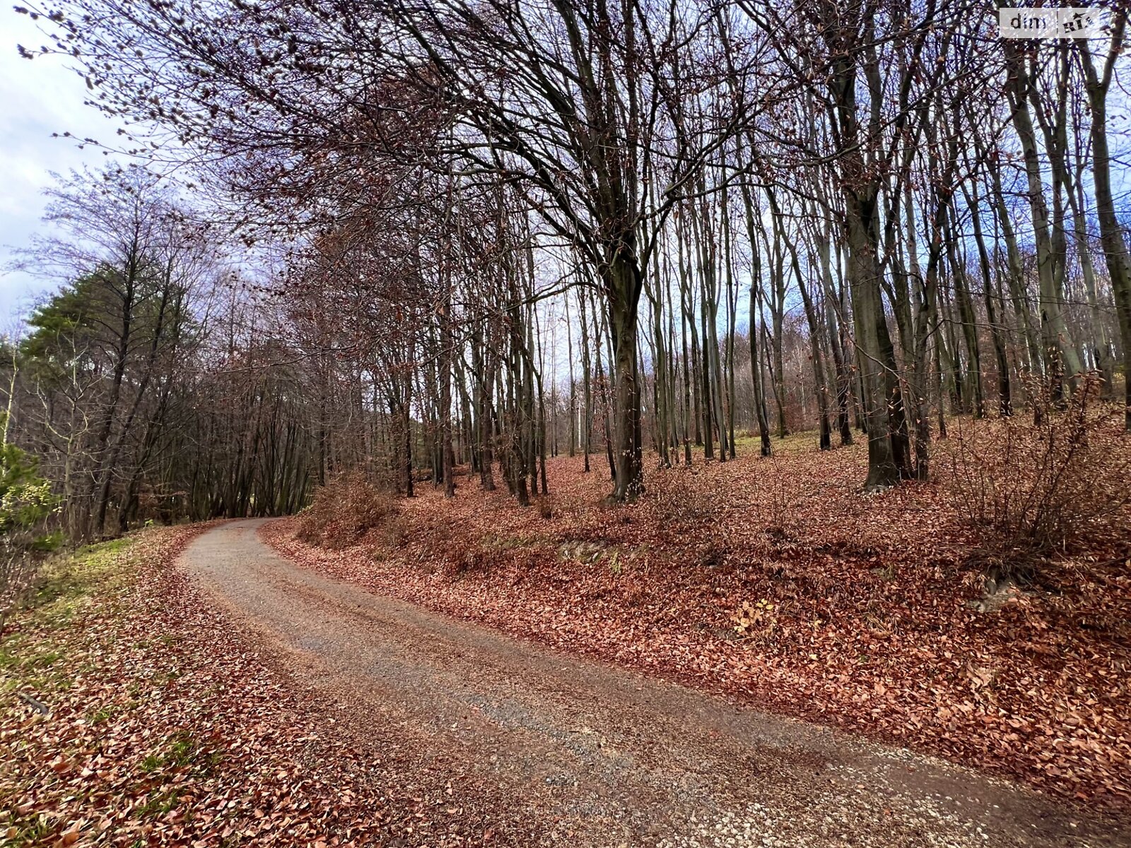 двоповерховий будинок з гаражем, 291.7 кв. м, цегла. Продаж у Лісниках фото 1 двоповерховий будинок з гаражем, 291.7 кв. м, цегла. Продаж у Лісниках фото 1