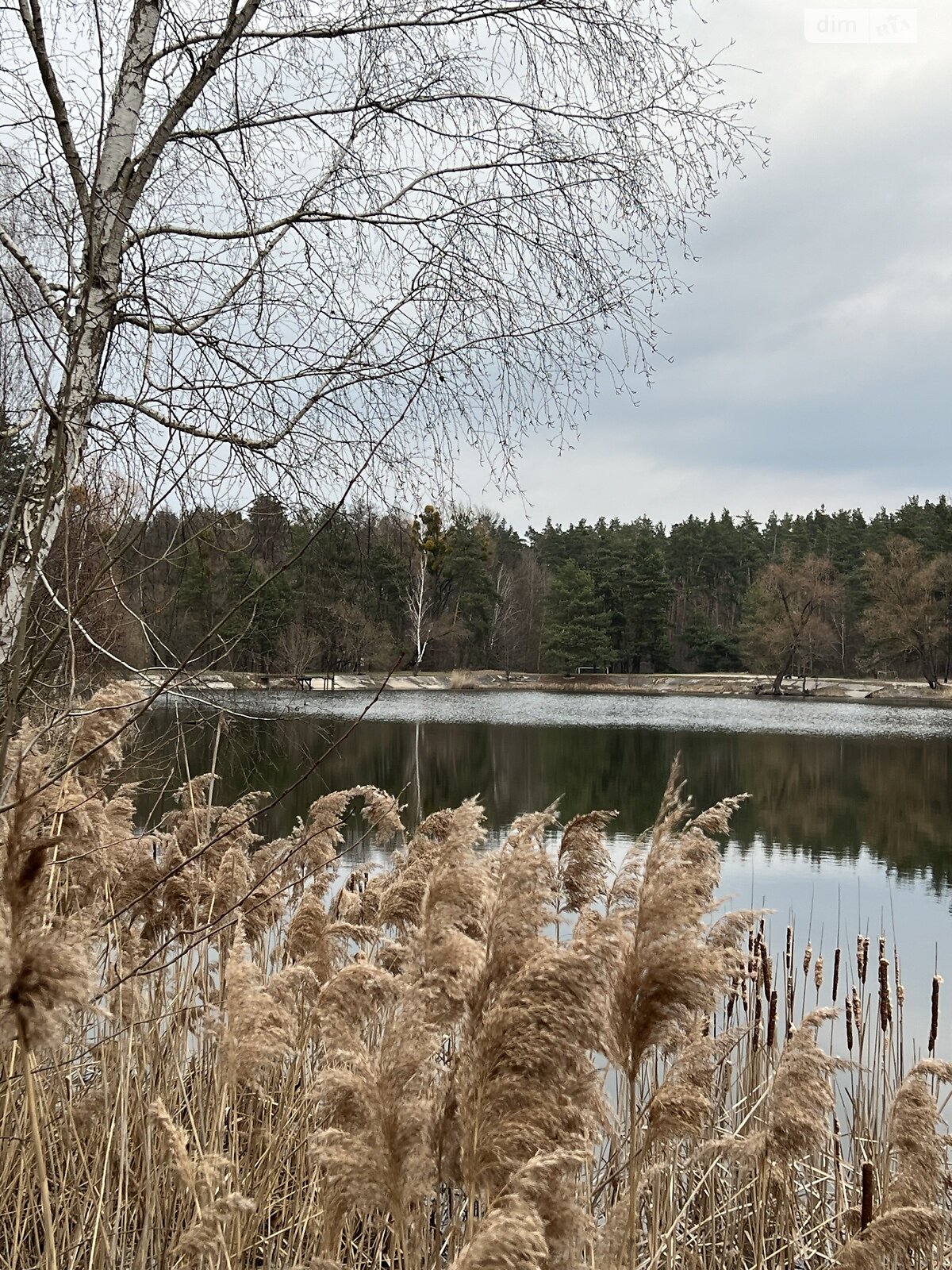 двоповерховий будинок з гаражем, 340 кв. м, керамічний блок. Продаж у Лісне фото 1