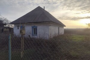 одноповерховий будинок з опаленням, 45 кв. м, цегла. Продаж у Лісне фото 2