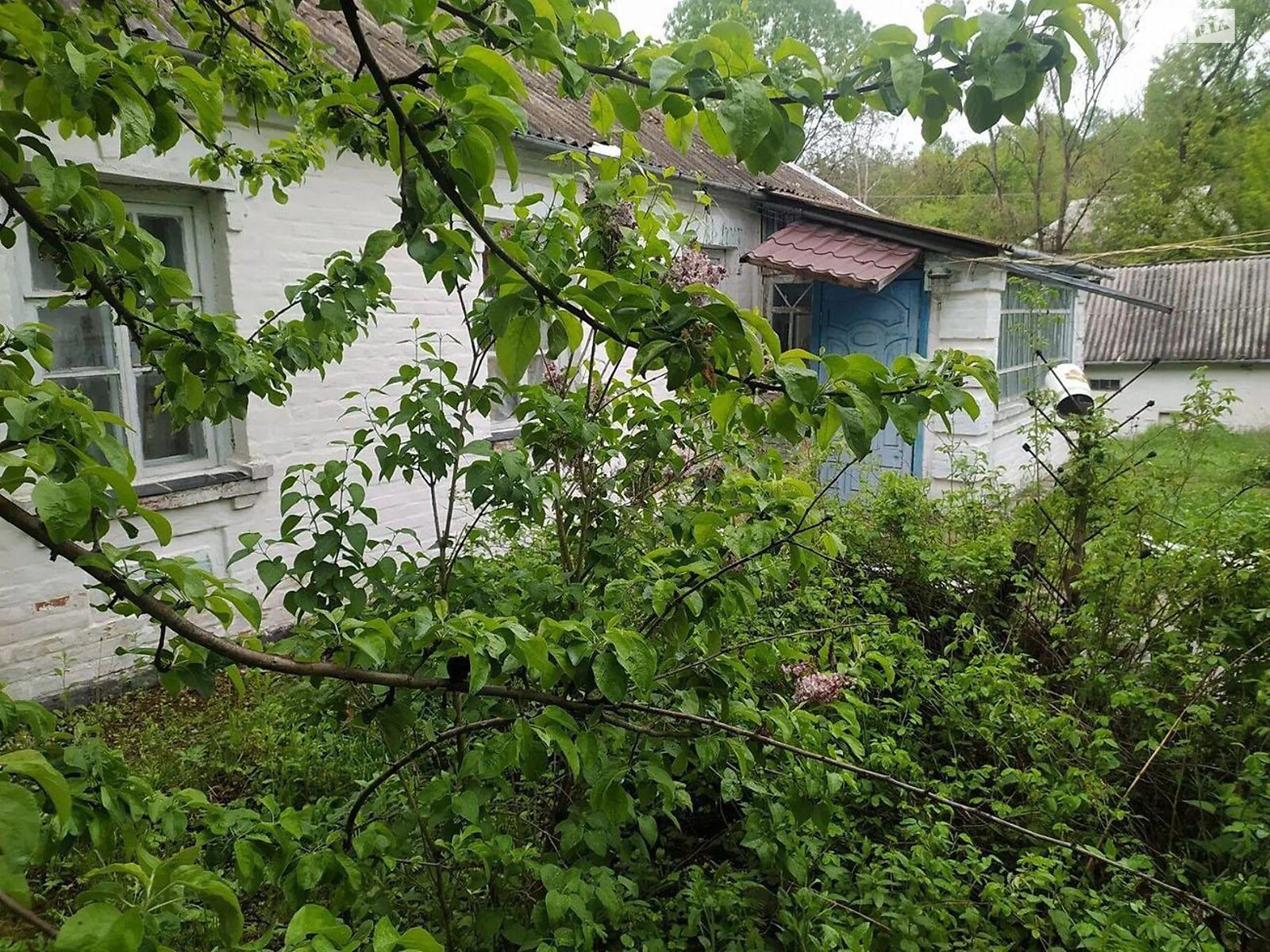 одноповерховий будинок, 69.5 кв. м, кирпич. Продаж у Лісовичі фото 1 одноповерховий будинок, 69.5 кв. м, кирпич. Продаж у Лісовичі фото 1