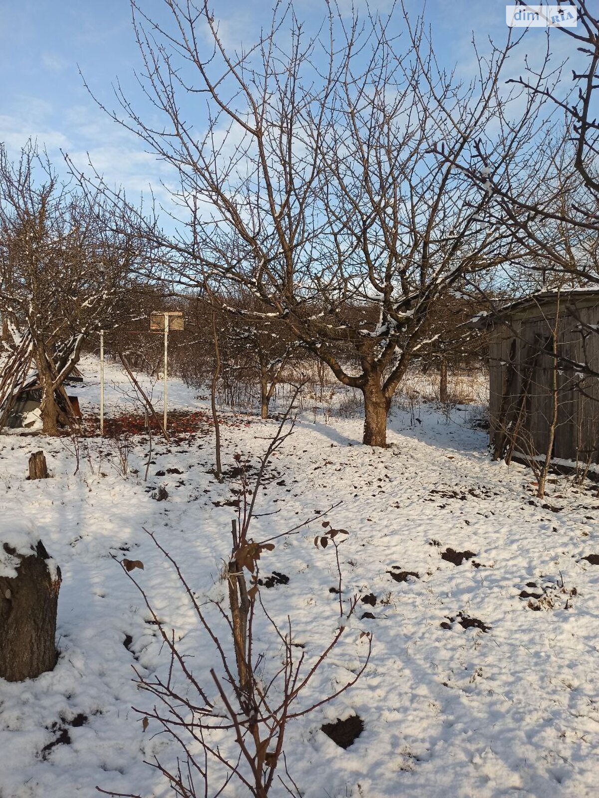 одноэтажный дом с верандой, 27.4 кв. м, кирпич. Продажа в Лесовых Гриновцах фото 1 одноэтажный дом с верандой, 27.4 кв. м, кирпич. Продажа в Лесовых Гриновцах фото 1