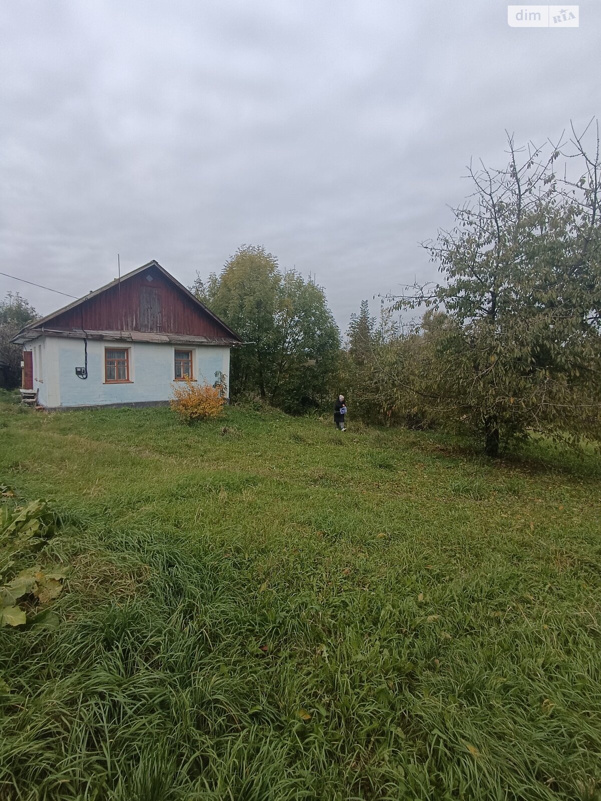 одноповерховий будинок, 47.5 кв. м, глинобитный. Продаж у Лісових Гринівцях фото 1 одноповерховий будинок, 47.5 кв. м, глинобитный. Продаж у Лісових Гринівцях фото 1