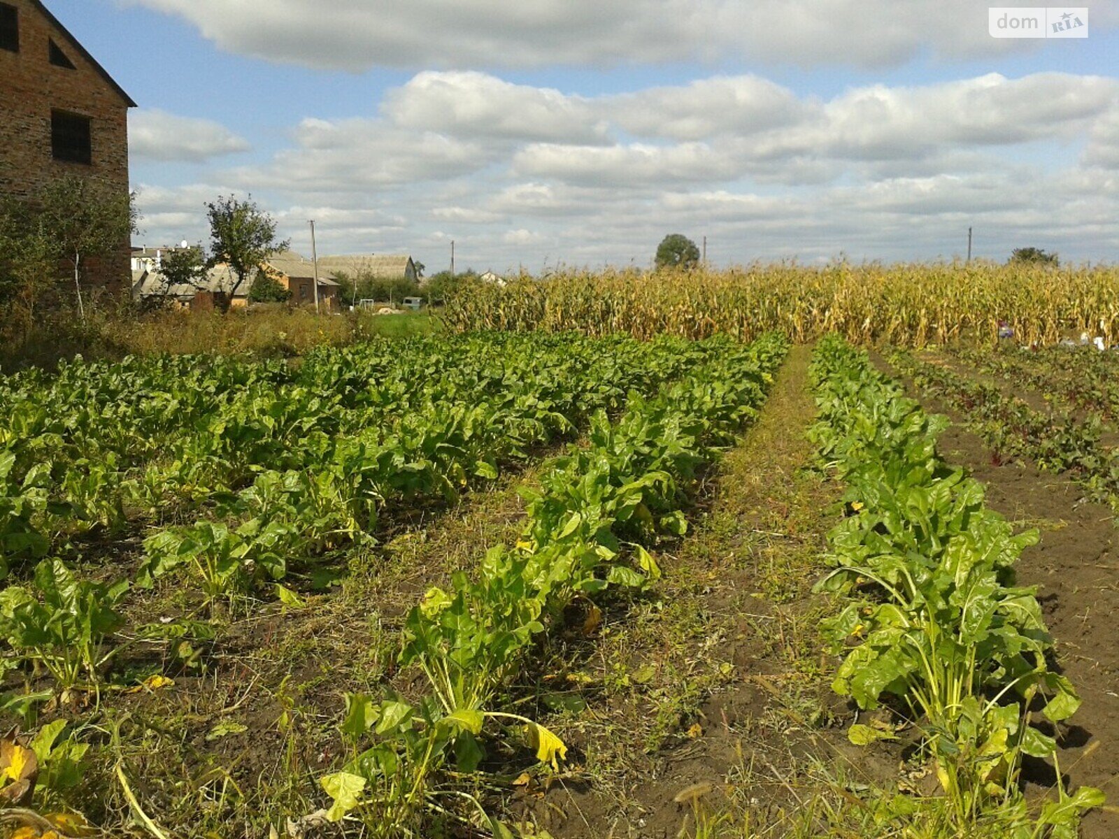 двоповерховий будинок, 220 кв. м, цегла. Продаж в Летичеві, район Летичів фото 1