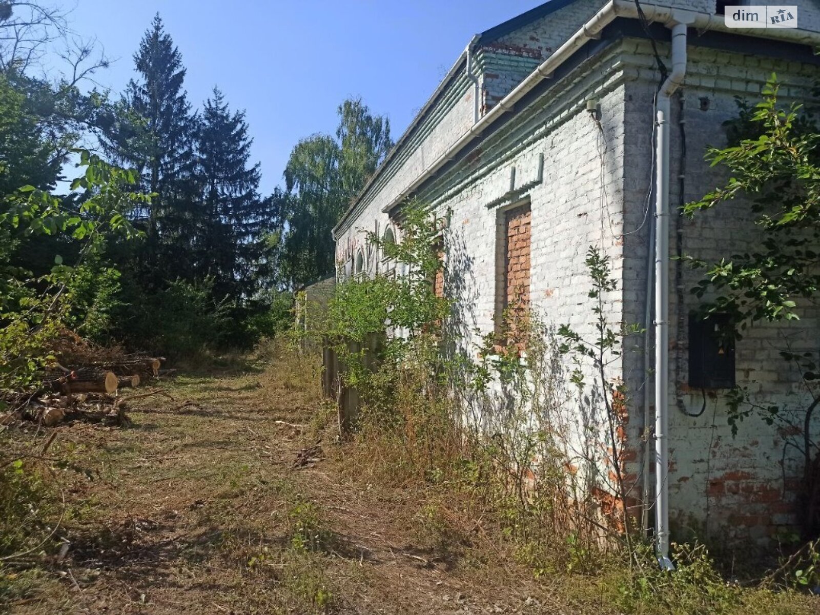 одноповерховий будинок з опаленням, 545.6 кв. м, цегла. Продаж у Подільське фото 1 одноповерховий будинок з опаленням, 545.6 кв. м, цегла. Продаж у Подільське фото 1