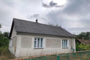 одноповерховий будинок з опаленням, 101 кв. м, цегла. Продаж у Лев’ятині фото 2