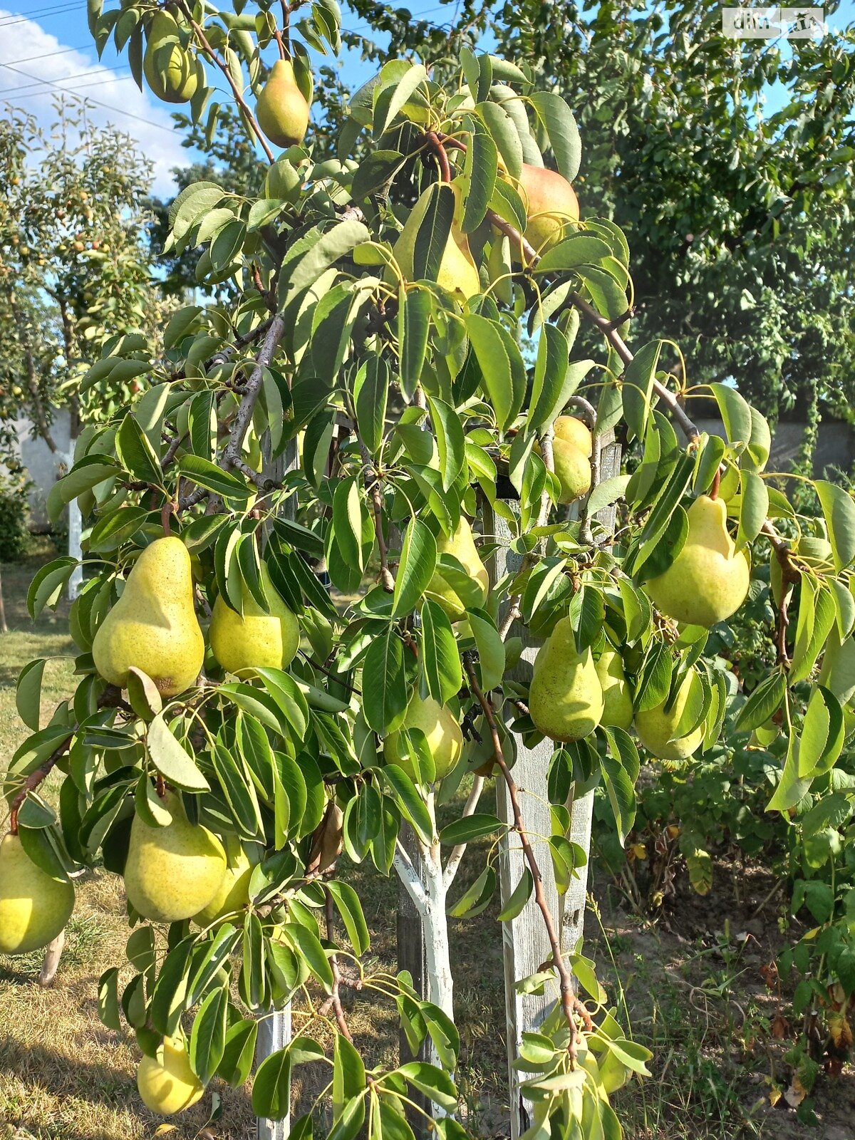 двухэтажный дом с верандой, 184.5 кв. м, дерево и кирпич. Продажа в Лихолетках фото 1