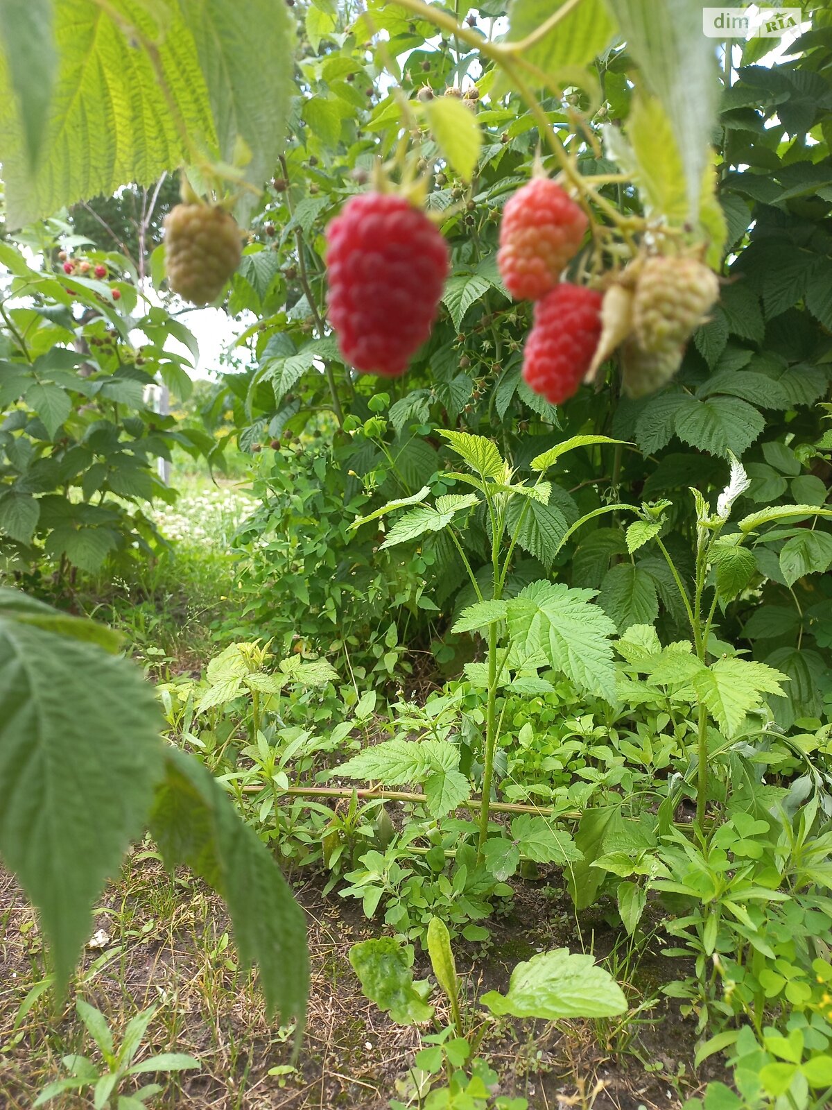 двухэтажный дом с верандой, 184.5 кв. м, дерево и кирпич. Продажа в Лихолетках фото 1