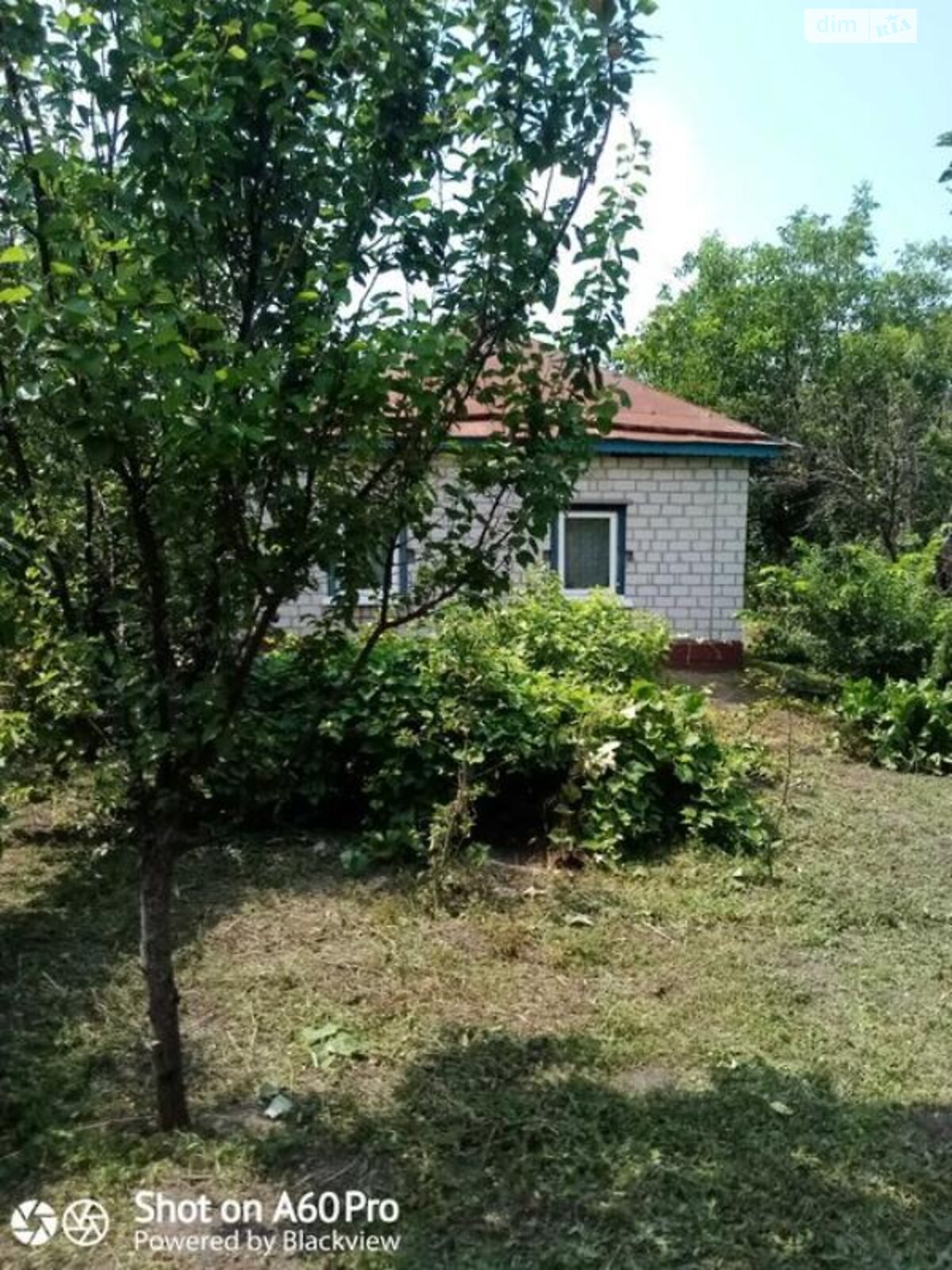 одноповерховий будинок, 55 кв. м, цегла. Продаж у Лихолітах фото 1 одноповерховий будинок, 55 кв. м, цегла. Продаж у Лихолітах фото 1