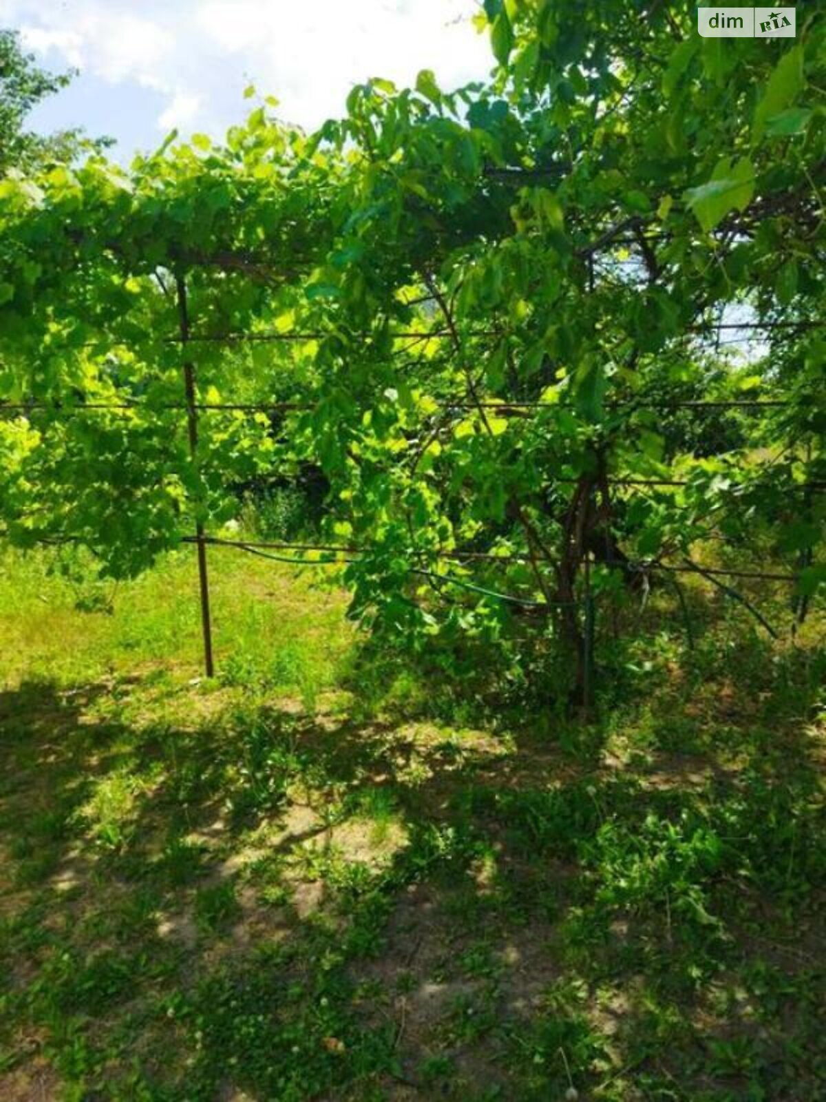 одноповерховий будинок з меблями, 80 кв. м, цегла. Продаж у Лихолітах фото 1 одноповерховий будинок з меблями, 80 кв. м, цегла. Продаж у Лихолітах фото 1