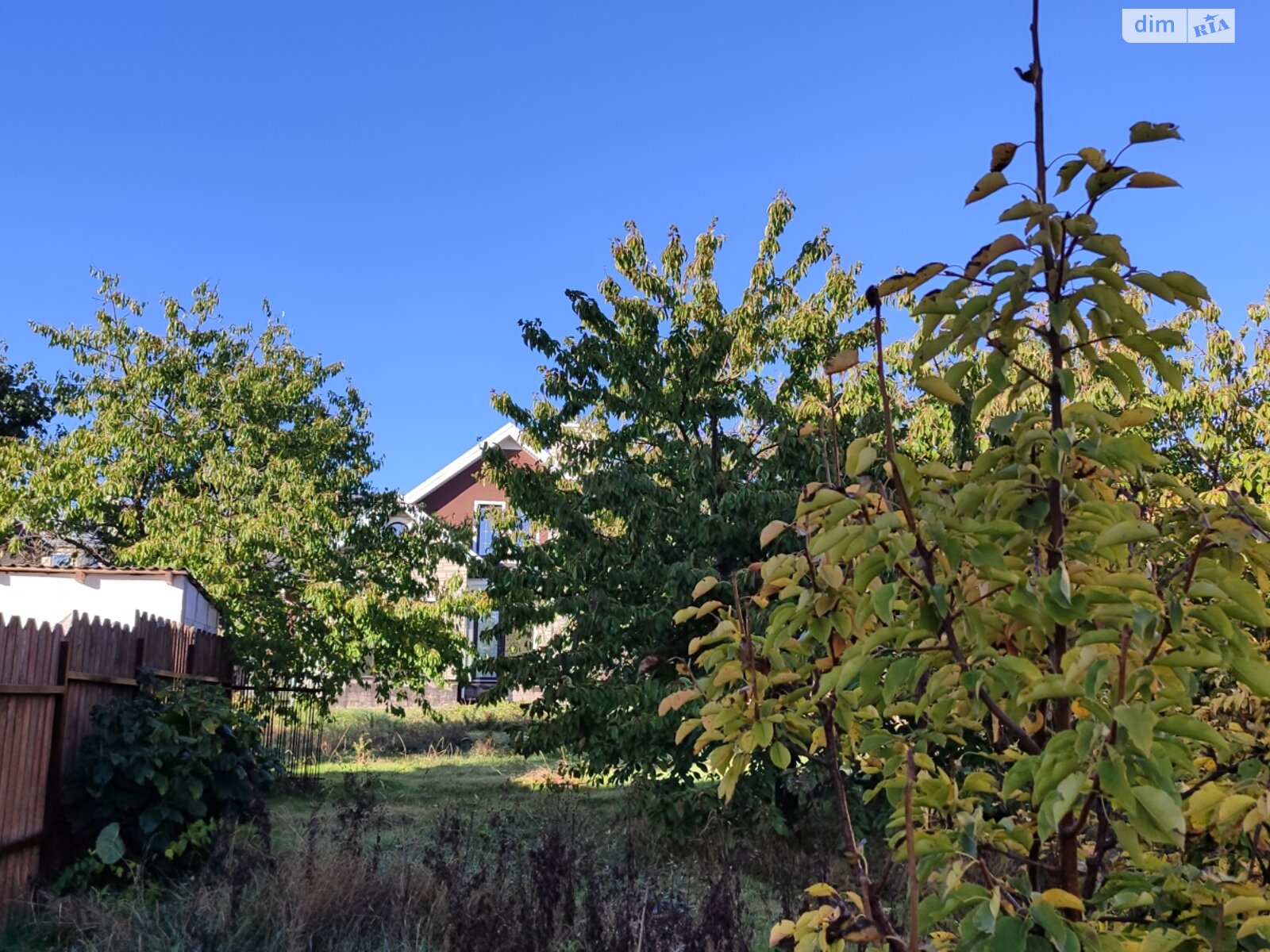 одноповерховий будинок з верандою, 50 кв. м, цегла. Продаж в Лиманці, район Червоний Хутір фото 1 одноповерховий будинок з верандою, 50 кв. м, цегла. Продаж в Лиманці, район Червоний Хутір фото 1