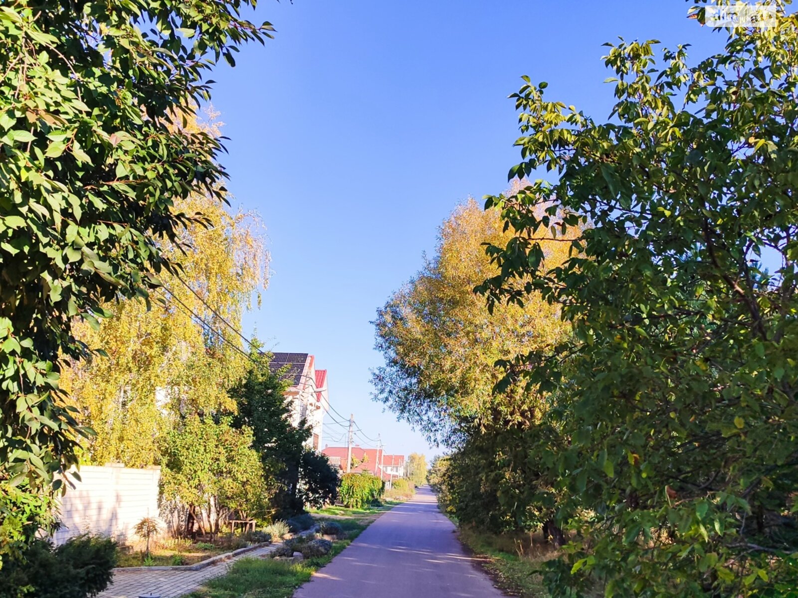 одноповерховий будинок з верандою, 50 кв. м, цегла. Продаж в Лиманці, район Червоний Хутір фото 1 одноповерховий будинок з верандою, 50 кв. м, цегла. Продаж в Лиманці, район Червоний Хутір фото 1