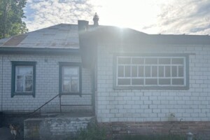 одноповерховий будинок, 89 кв. м, дерево и кирпич. Продаж у Липовому Розі фото 2