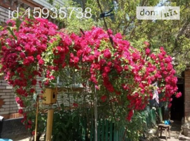 одноэтажный дом с садом, 70 кв. м, кирпич. Продажа в Косаковке (Винницкая обл.) фото 1 одноэтажный дом с садом, 70 кв. м, кирпич. Продажа в Косаковке (Винницкая обл.) фото 1