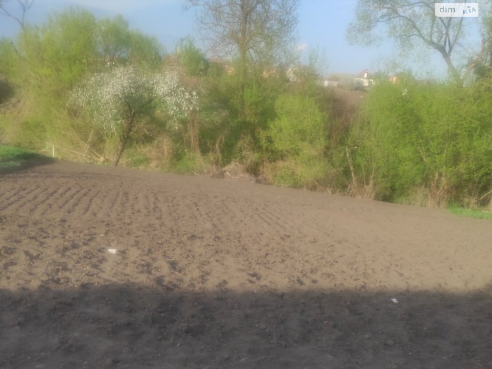 одноэтажный дом, 70 кв. м, кирпич. Продажа в Липовце район Липовец фото 1