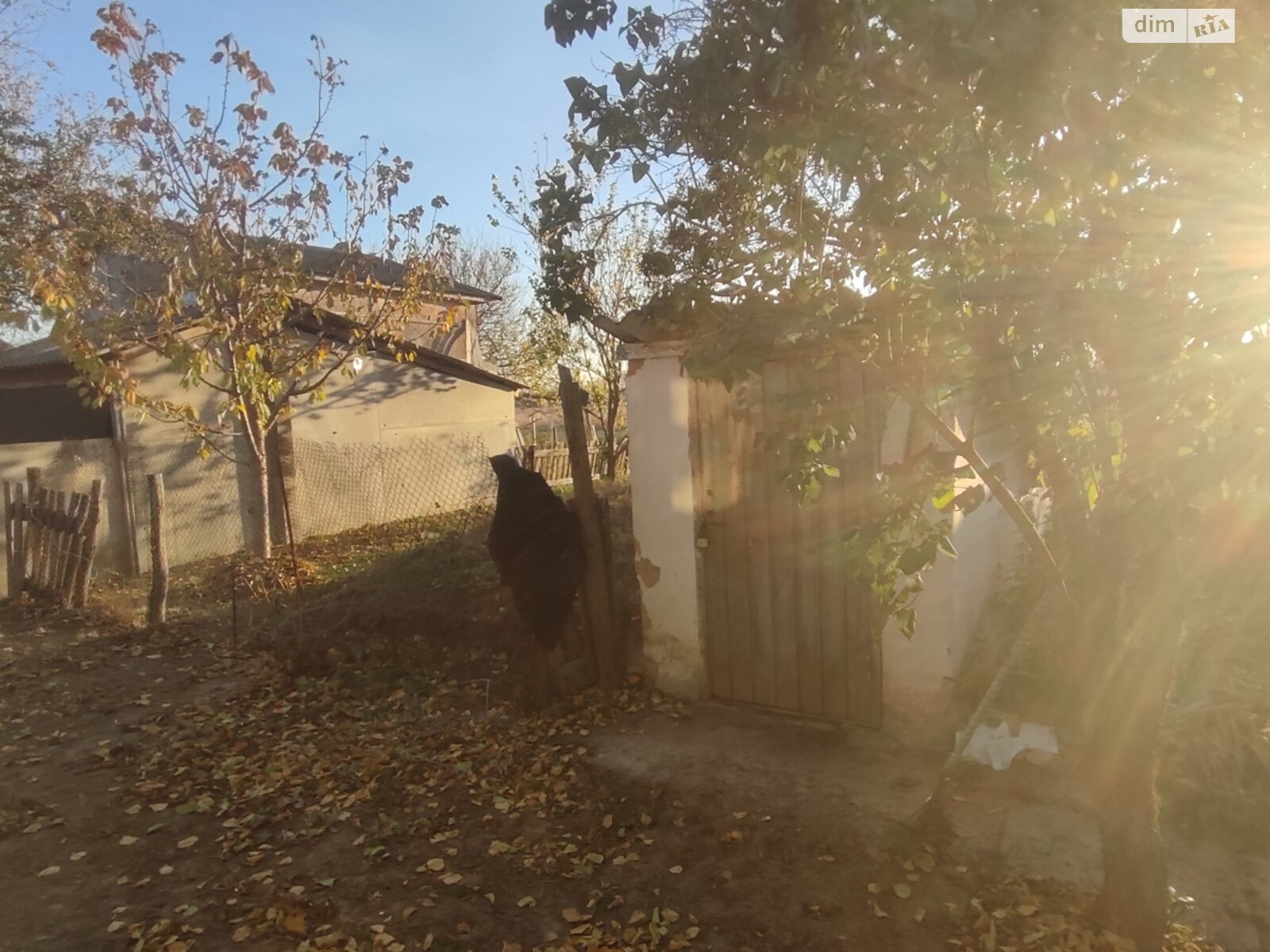одноэтажный дом с отоплением, 50 кв. м, ракушечник (ракушняк). Продажа в Липовке фото 1 одноэтажный дом с отоплением, 50 кв. м, ракушечник (ракушняк). Продажа в Липовке фото 1