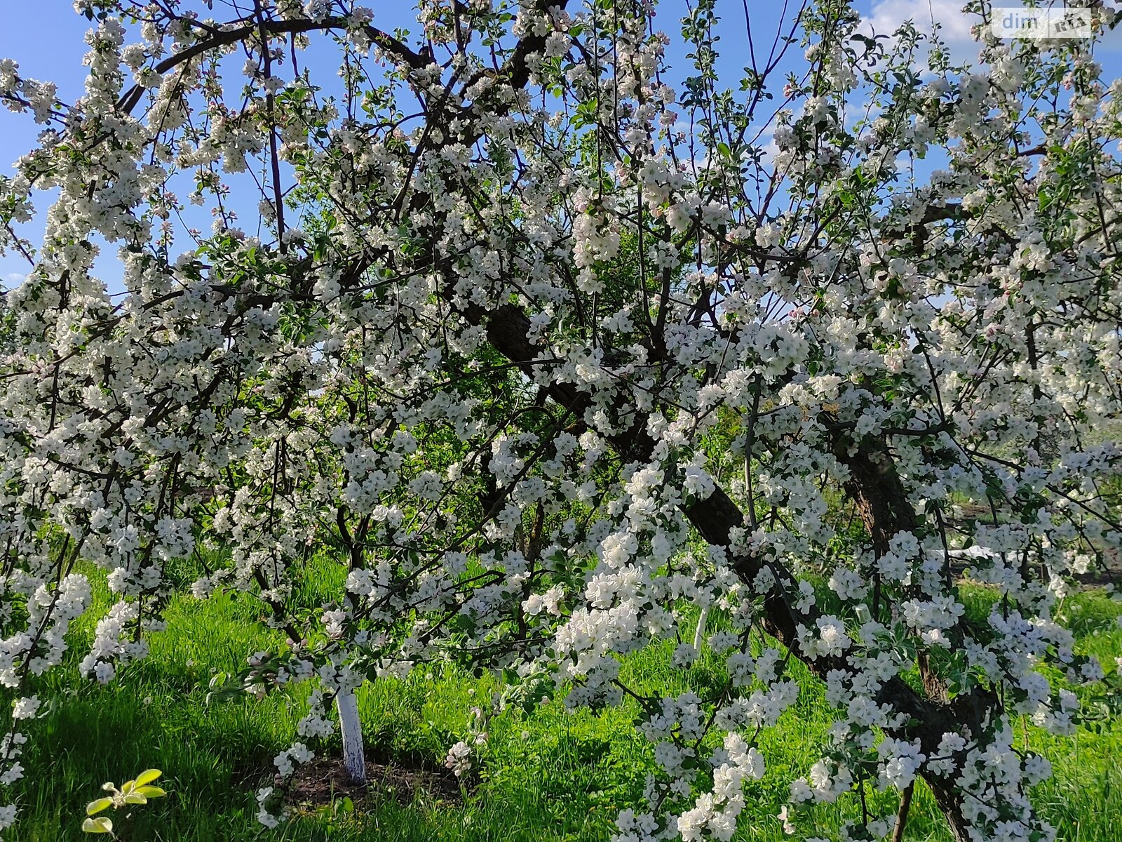 одноповерховий будинок, 253.7 кв. м, цегла. Продаж у Лисогірці фото 1 одноповерховий будинок, 253.7 кв. м, цегла. Продаж у Лисогірці фото 1