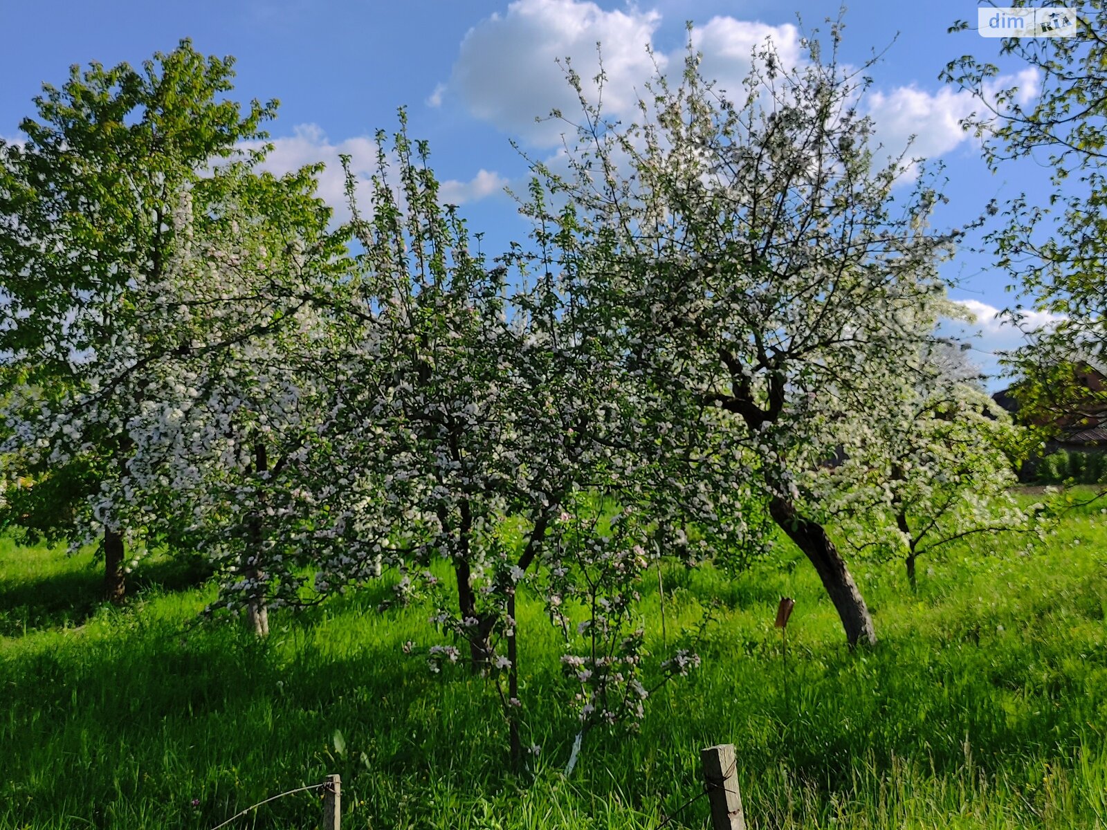одноповерховий будинок, 253.7 кв. м, цегла. Продаж у Лисогірці фото 1 одноповерховий будинок, 253.7 кв. м, цегла. Продаж у Лисогірці фото 1