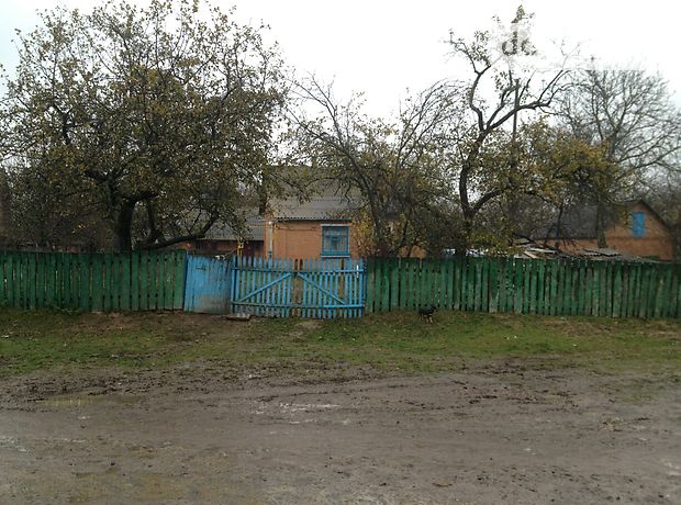 одноэтажный дом с садом, 55 кв. м, кирпич. Продажа в Дашковцах (Винницкая обл.) фото 1 одноэтажный дом с садом, 55 кв. м, кирпич. Продажа в Дашковцах (Винницкая обл.) фото 1